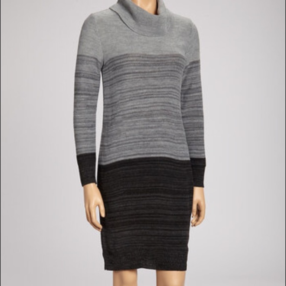 Lennie for Nina Leonard Sweaterdress